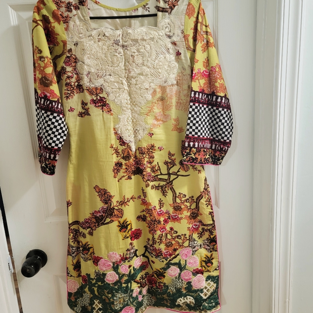 Pakistani indian style dress